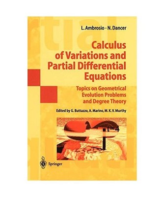 Calculus of Variations and Partial Differential Equations: Topics on Geometrical
