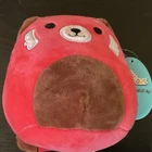 2020 Squishmallows 5” Cici The Red Panda NWT