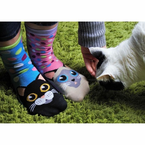 United ODDSOCKS Catwalk Size UK 4-8 Set Of 6 Women's Socks Kittens Odd Gift Idea - Picture 5 of 9
