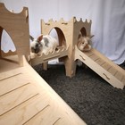 Picture 4 of 15