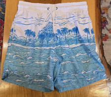 Trunks Surf Swim Co. Men's Medium Swim Trunks