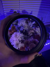 Mitsubishi 0L OL-XD2000SZ Short Throw projector lens adapter conversion 