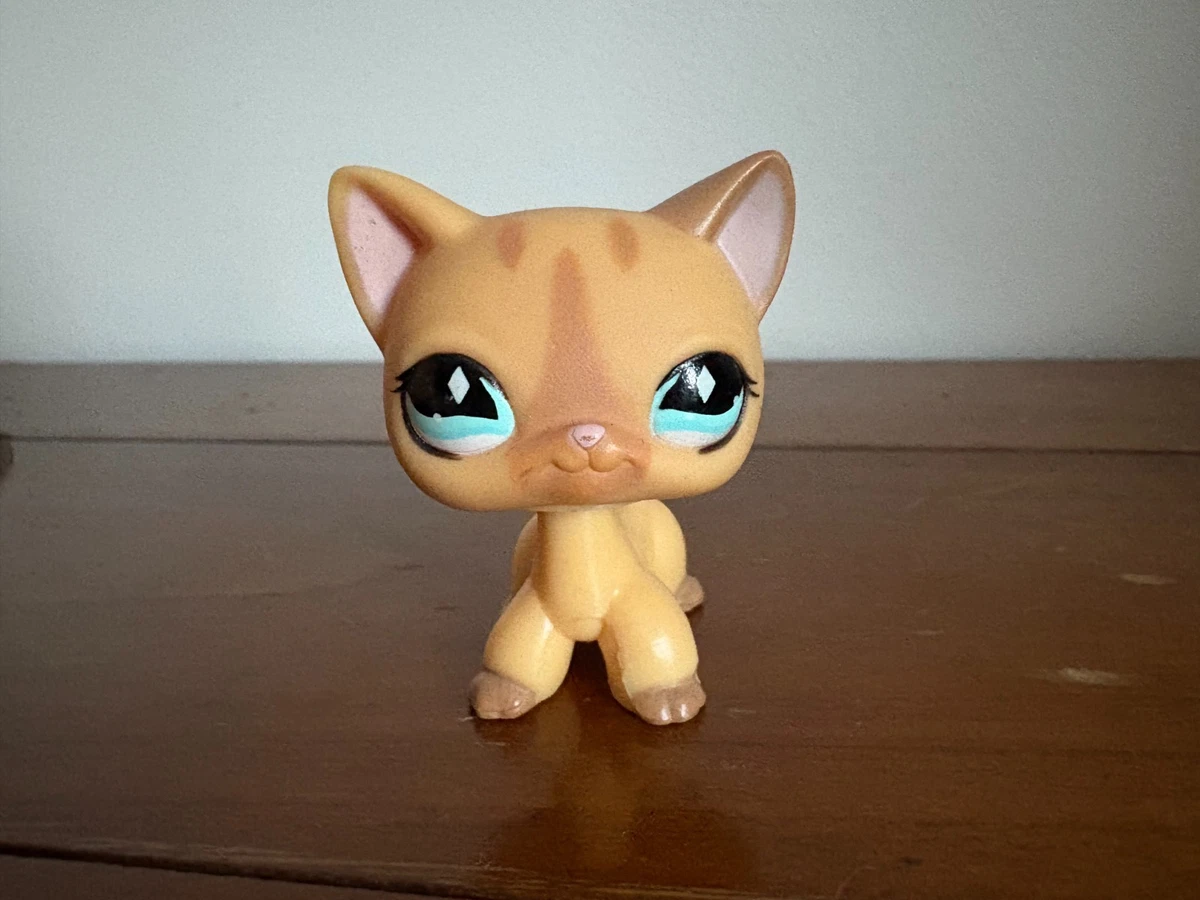 Figurine Littlest Pet Shop – Chat Européen 1643 – Hasbro – Authentique