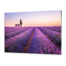 Glasbilder Wandbild Druck auf Glas Lavendel Provence