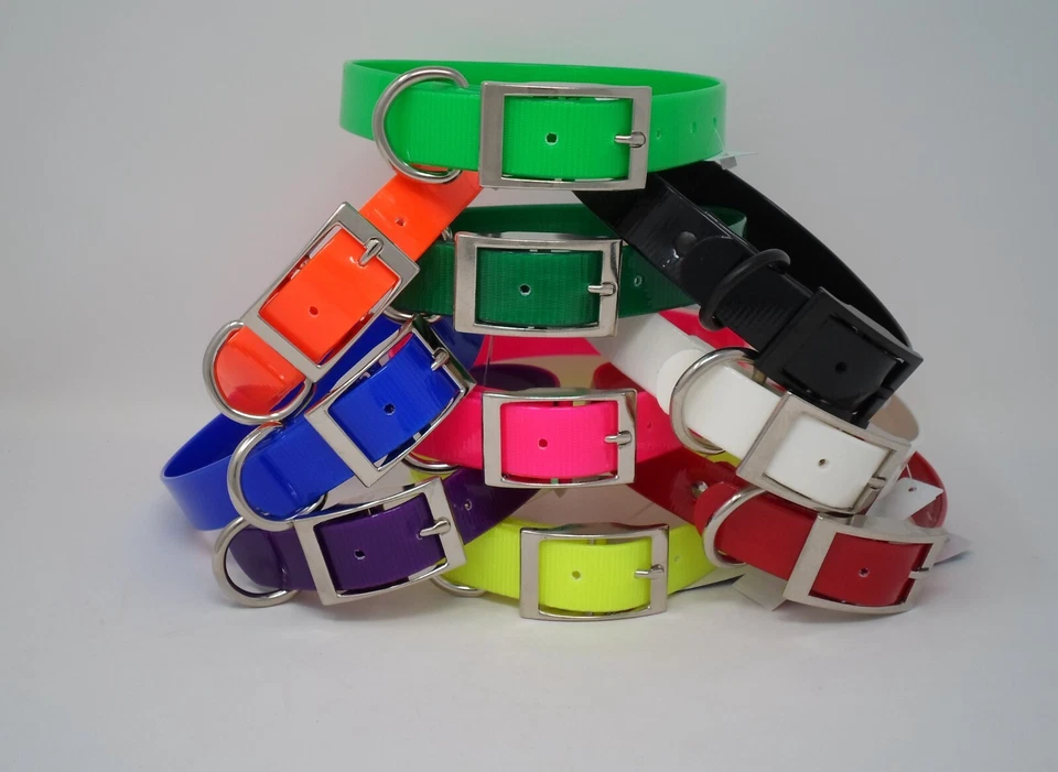 100D Regular Dee 1" SunGlo for Hunting Dogs or Pets "Free Brass Nameplate"