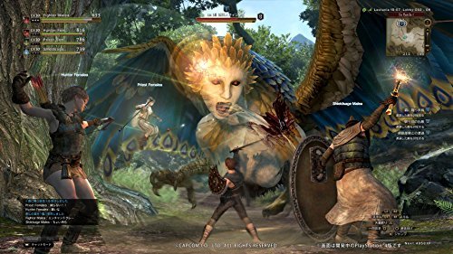 New Ps4 Dragon S Dogma Online Limited Edition Ebay