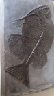 Bild 3 von 7