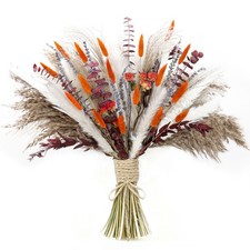 xin's convey Dried Flower Bouquet, 92 Stems Flowers, Pampas Orange