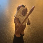 Star Wars Wicket W. Warrick Kenner Vintage VI:Return of the Jedi Action Figure