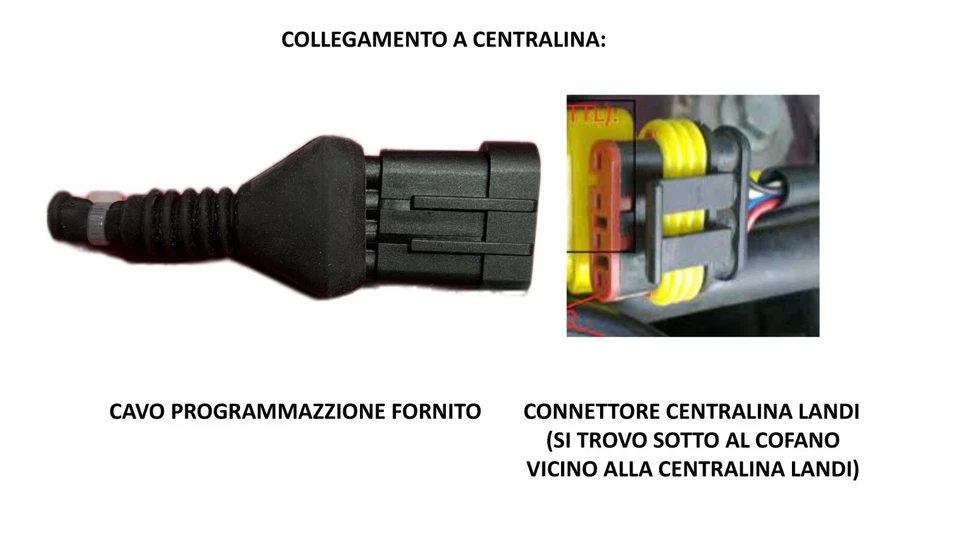 KIT DIAGNOSI LANDI RENZO 2025 – PROFESSIONALE per impianti GPL (OEM & Aftermarke - Immagine 2 di 4