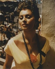 Sophia Loren 1950's Breathtaking Busty Glamour Vintage 8x10 Photo f transparency