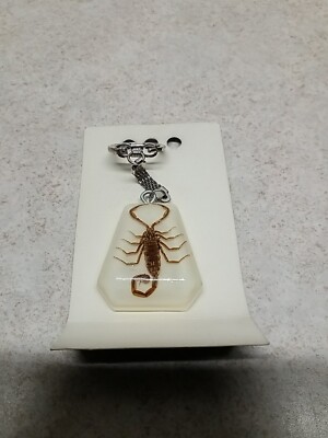 Real Scorpion Keychain Bug Insect Inside Clear Resin 