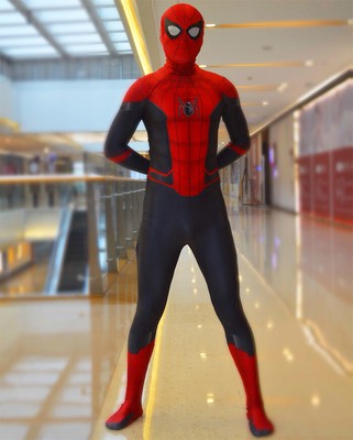 âspider-man cosplayâçå¾çæç´¢ç»æ