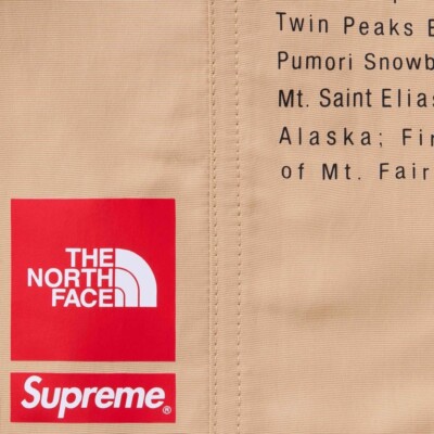 NIB Authentic Supreme x The North Face Nylon Shorts Khaki size
