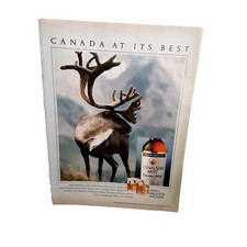 1990 Canadian Mist Whisky Moose Elk Antlers Original Print Ad vintage 90s