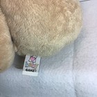 Foto 3 di 3