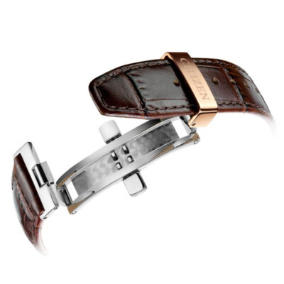 Citizen Eco-Drive World Time Sapphire Leather Strap Men's Watch