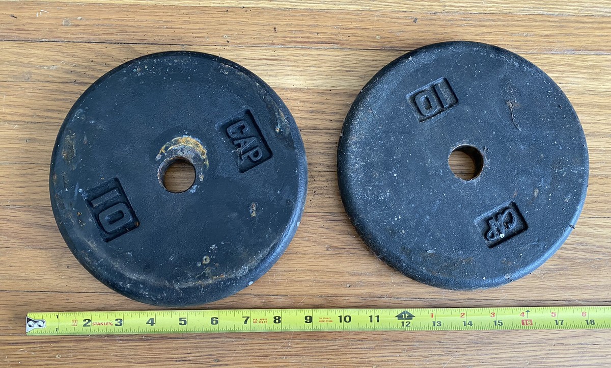 Lot de 2 Disques de Poids, Disques d'haltère Plaque de Poids Plaque de poids 2 pcs 2x10 kg Fonte