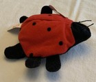 Foto 4 di 5