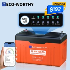 ECO-WORTHY 12V 100AH LiFePO4 Lithium Battery With SOC Display Bluetooth Low-Temp