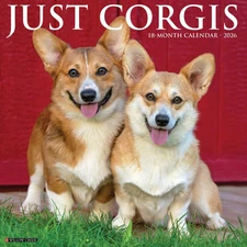 Willow Creek Press,  Just Corgis 2026 Wall Calendar, 12'' X 12'', 18-Month Calen