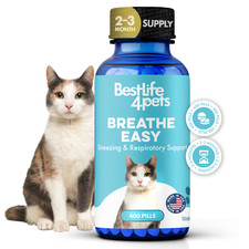 Cat Respiratory Infection  Nasal Relief