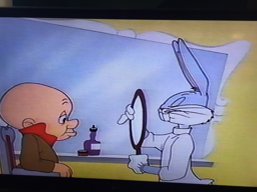 Warner Bros. Cartoon Golden Jubilee Elmer Fudds Comedy Capers Looney Tunes 11606 - Picture 9 of 14