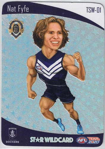 2020 AFL TEAMCOACH VARIOUS TROPHY & OTHER WILDCARD; Individual Card Sale. - Picture 2 of 11