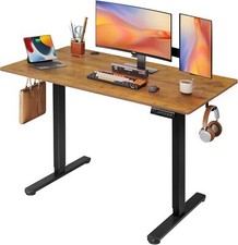 48 X 24 Inches Electric Standing Desk,Height Adjustable Stand up Desk,Rust