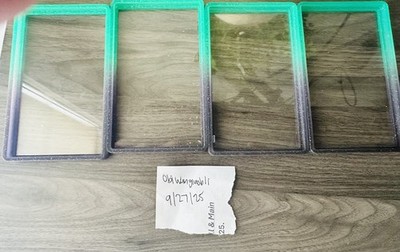 GradedGuard PSA Graded Case Guard Protector Limited Edition Oxley Aurora USED x1