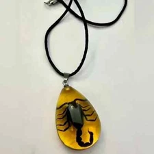Scorpion in amber pendant on black cord necklace