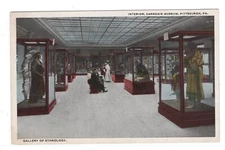 PITTSBURGH PA INTERIOR CARNEGIE MUSEUM GALLERY OF ETHNOLOGY 