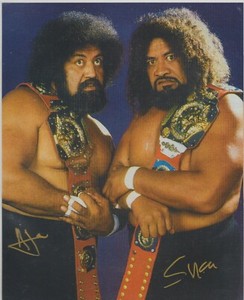 wild samoans
