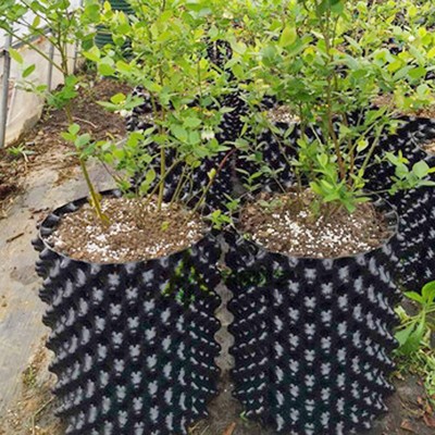 Air Grow Pot Hydroponics Auto Feeding Design Base Root Pruning Rocket Pots