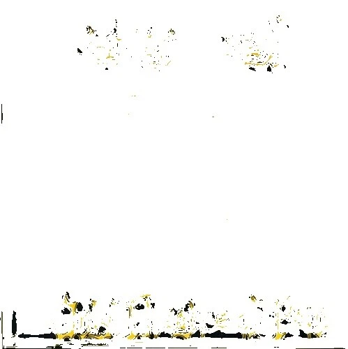 Music CDs Christian Death