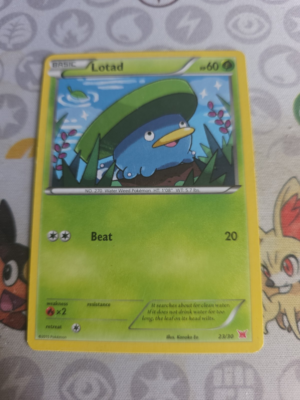Pokemon Lotad (23/30) XY Trainer Kit Latias LP