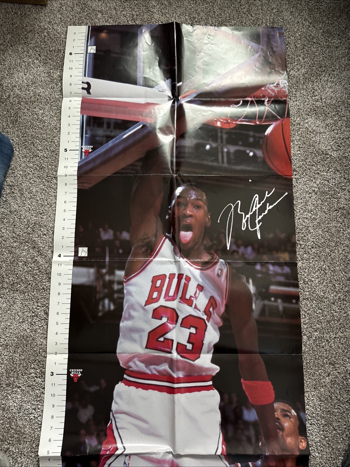 Rare 1991 Michael Jordan Growth Poster 77x31 VINTAGE Life-size MILK Wisconsin