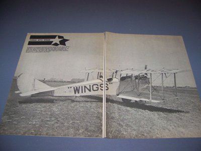 VINTAGE..J2N JENNY ''WINGS''..HISTORY/PHOTO/DETAILS....RARE! (842F)