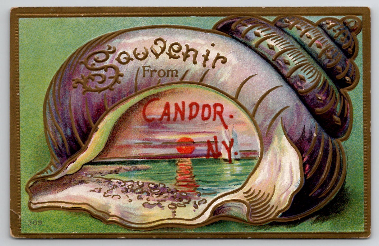 Seashell Border NY Souvenir from Candor New York Sunset Beach Emb