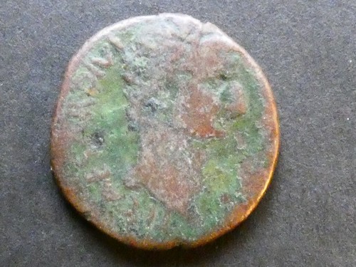 T29.5. Roman Provincial, Tiberius & Livia, Zeugitana, Utica, AE23. - Picture 2 of 2