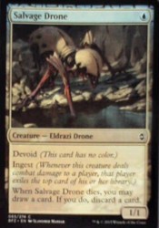 Salvage Drone - Battle for Zendikar (065/274)