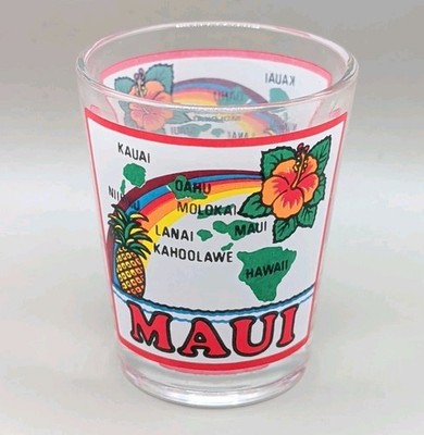 MAUI Hawaiian Islands State Map Shot Glass Pineapple Hibiscus Collectible HI