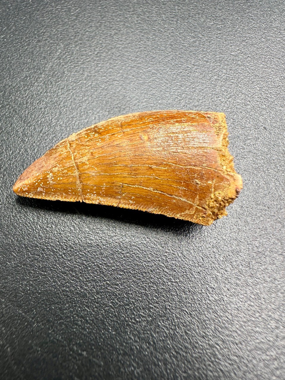 Picture 2 of 4