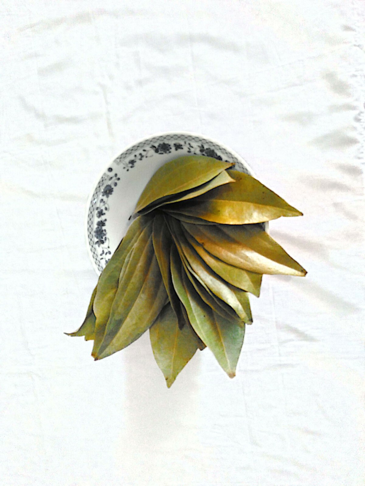 Ceylon Cinnamon sun dried leaves,Tej patta,Indian bay leaves,Organic Natural Her