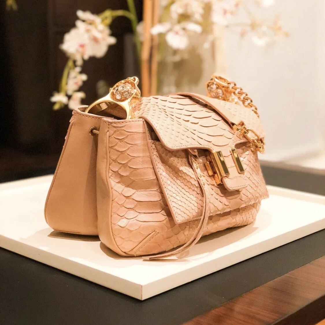 NEW 4150 CHLOE AMELIA SMALL BISCOTTI BEIGE PYTHON LEATHER