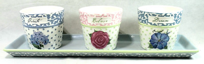 Lifestyle Home Mary Hughes 3 Ceramic Planter Set With Tray - Dream, Create,...