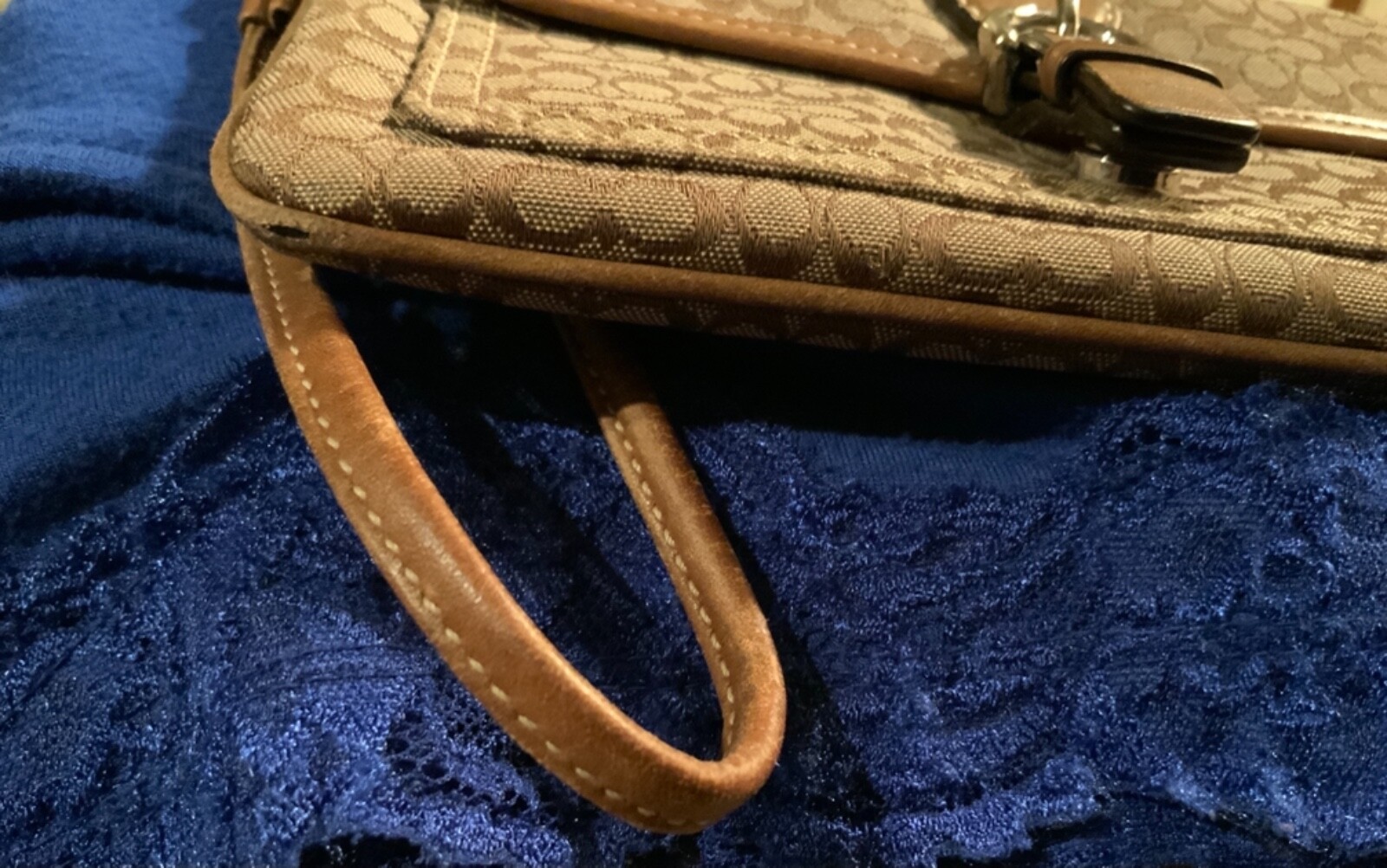 Picture 12 of 12