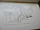 Picture 5 of 7