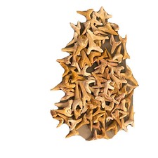 Moroccan Sand Shark Tooth Fossil 100% Authentic . Lot of 200