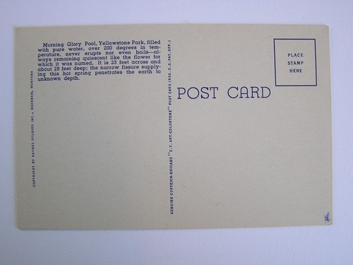 Morning Glory Pool Yellowstone National Park Vintage Unused Postcard - Picture 2 of 2